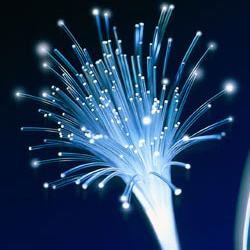 Prometer Fibre Curation de printemps - DigitalCorner